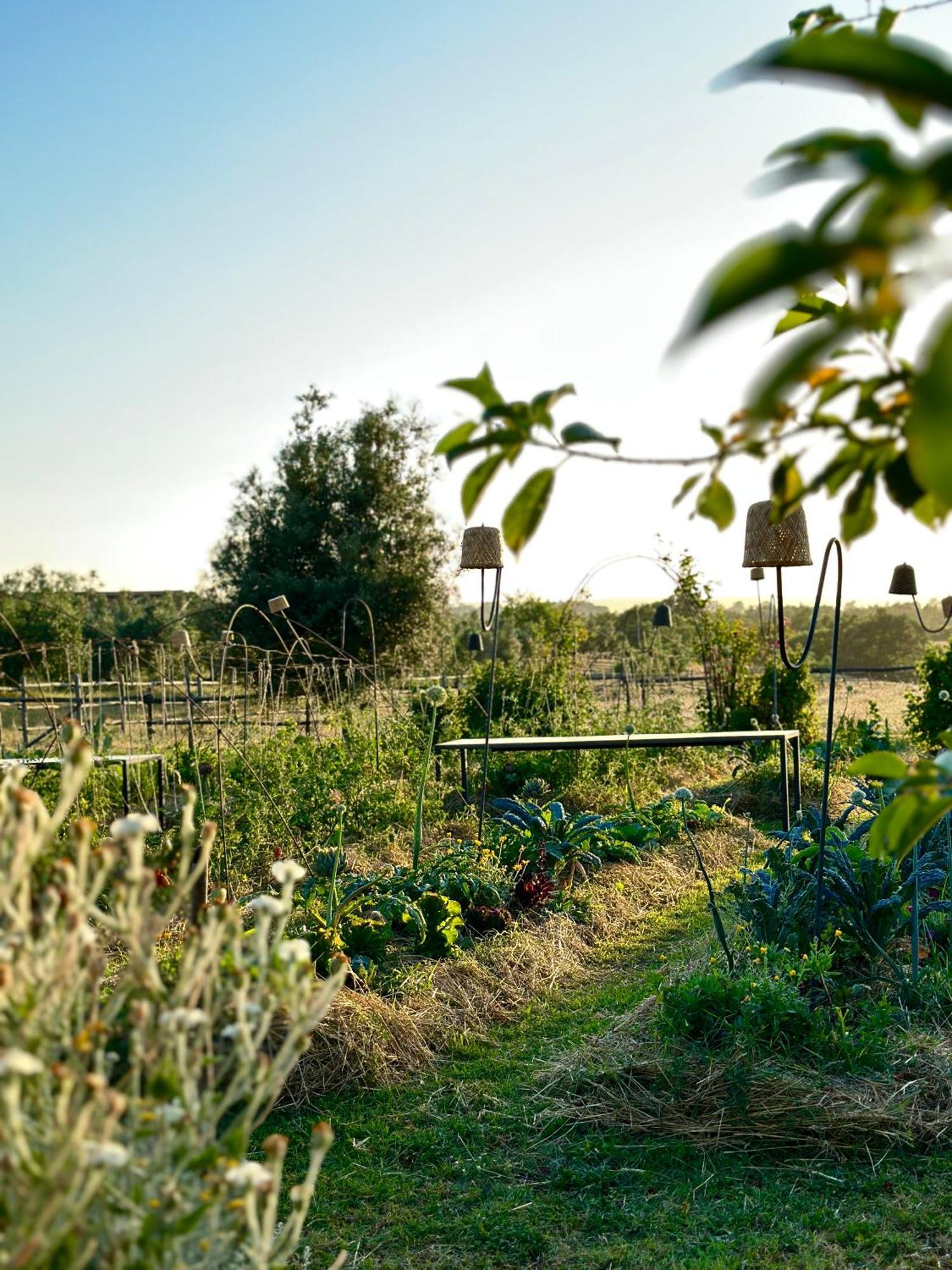 Tenuta Di Paternostro