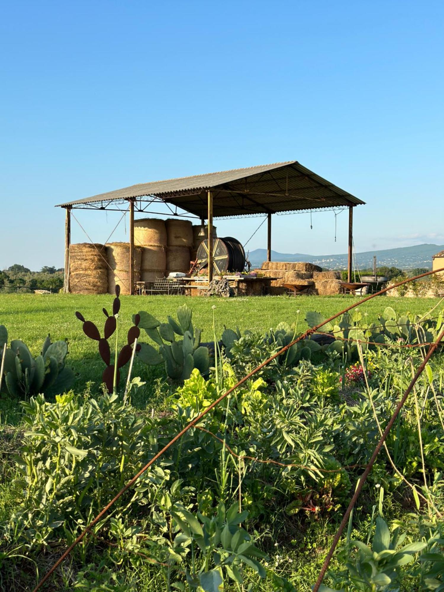 Séjour à la ferme Tenuta Di Paternostro *